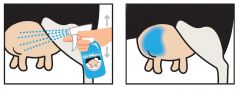 Cai Pan sprizz navulling 5 l blauw