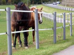 Kunststof weidepalen 8 cm, 60 stuks, GRIJS, rond met spits