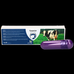 Cowperien Bolus