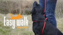 Easy Walk Mini Handmodel Rood