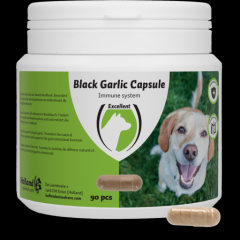 Black Garlic capsule Hond