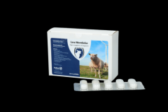 Leva Worm Bolus REG NL URA