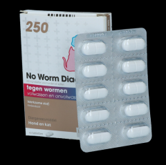 No Worm Diacur 250 Mg 10 Tabl