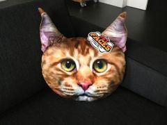 Pet Faces Maine Coon Cat