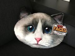 Pet Faces Lappenpop kat