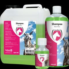 Shampoo Aloe Vera Horse