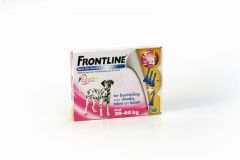 Frontline hond L 20-40 kg 4 pipetten