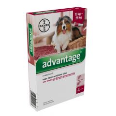 Advantage 250 hond