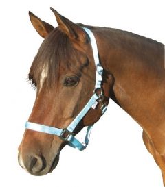 Paardenhalster nylon lichtblauw Cob (2)