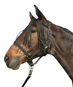 Vliegenbescherming (ogen) voor Paard