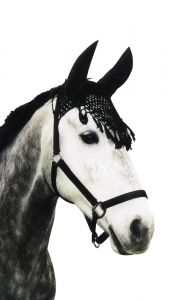 Vliegenbescherming (oren) voor Paard