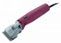 - Econom Equipe GT674