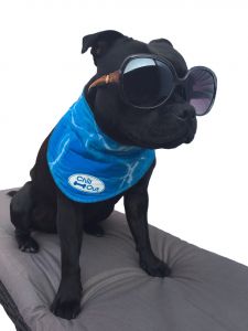 AFP Chill Out-Bandana XL