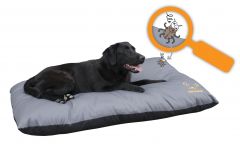 Bodyguard ELEGANT Kussen Grijs 65x50cm