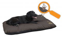 Bodyguard ELEGANT Kussen Bruin 90x60cm