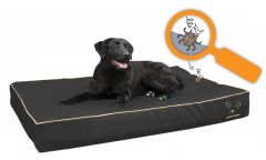 Bodyguard ROYAL bed Zwart 65x50cm