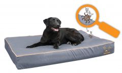 Bodyguard ROYAL bed Grijs 90x60cm