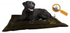 Bodyguard Transport Mat Bruin L 92x57cm