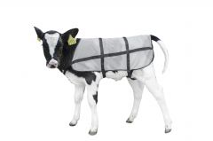 Bodyguard Calf Summer blanket