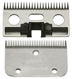 Constanta Rodeo R6 3mm     18/24tands