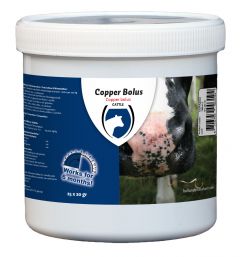Copper Bolus