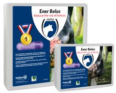 Ener Bolus