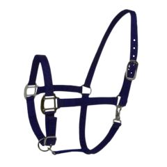 Halster Excellent donker blauw veulen
