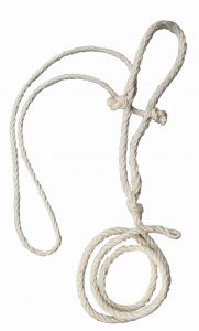 Koetouwhalster + dun koptouw
