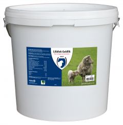 Likblok Goldlik schaap/lam