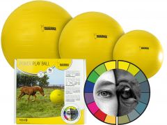 Maximus Power Play Ball 65cm