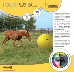 Maximus Power Play Ball 75cm
