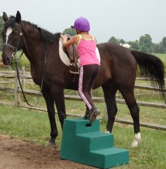 Opstaphulp 3 trede blauw