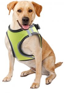 Doggy Safety Harness XL. A:40-48cm B:50-54cm