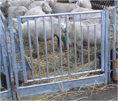 Poort in frame verticale spijl  H 1 mtr