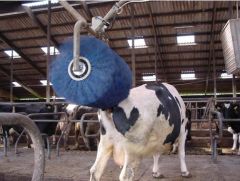 Veeborstel  Vink Roterend