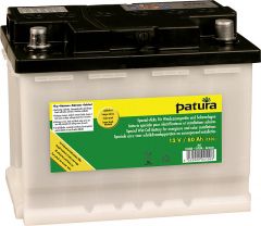 Speciale accu 12V/100Ah