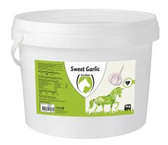 Sweet Garlic Blocks
