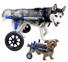 Rolstoel Dog Medium/Large Blauw 09-12, Foam, 12-31 kg