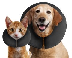 Zencollar the original ProCollar XSmall